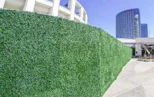 Graffiti-Prone Walls: How Artificial Living Walls Reduce Repeat Tagging