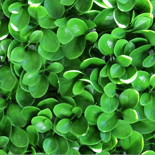 How Artificial Living Walls Fit California Hospitality Spaces