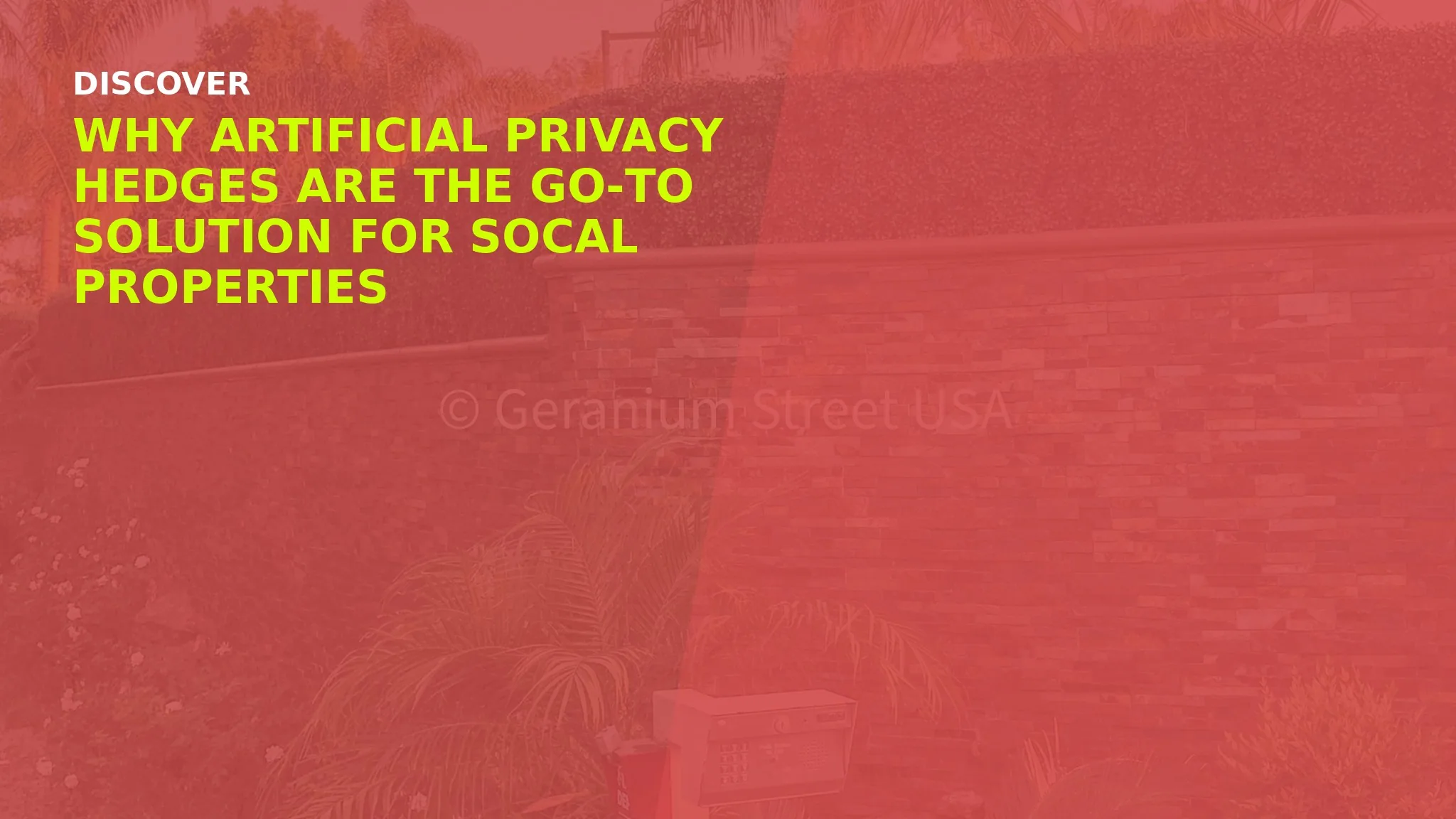 Artificial Privacy Hedges in Southern California: Why Property Owners Are Switching