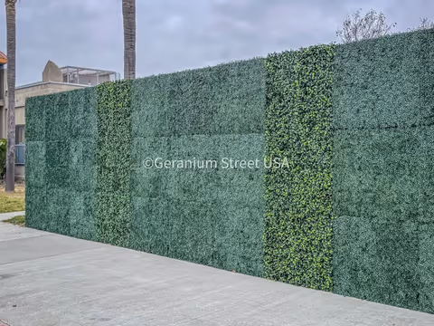 Compton graffiti abatement: 1,500 sq ft modular living wall on a block perimeter image 5