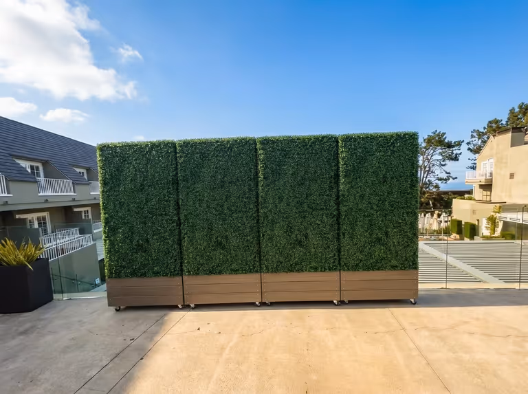 L'Auberge Del Mar: mobile artificial hedges for oceanfront wedding privacy image 7